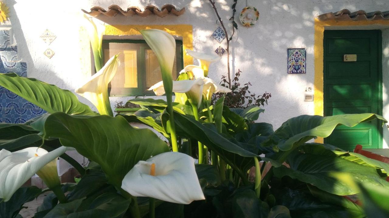 Zagara Di Sicilia Βίλα Μαρσάλα Εξωτερικό φωτογραφία
